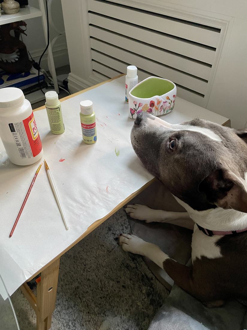 A grey and white dog resting her chin on a craft table next to a hand-painted decoupage bowl.